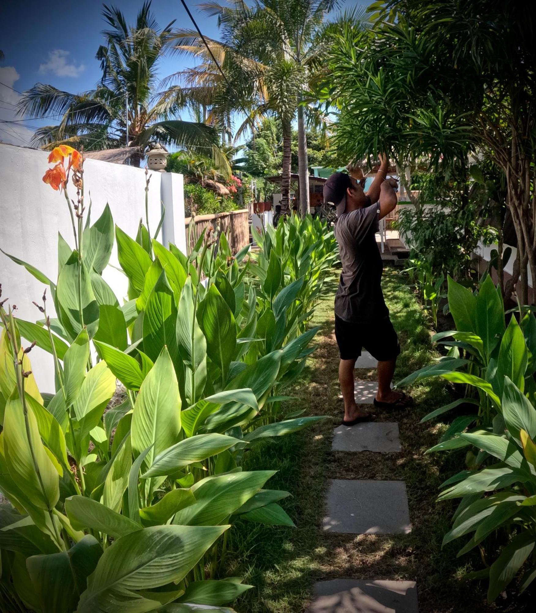 Kaktus Bungalow 2 Gili Air Luaran gambar